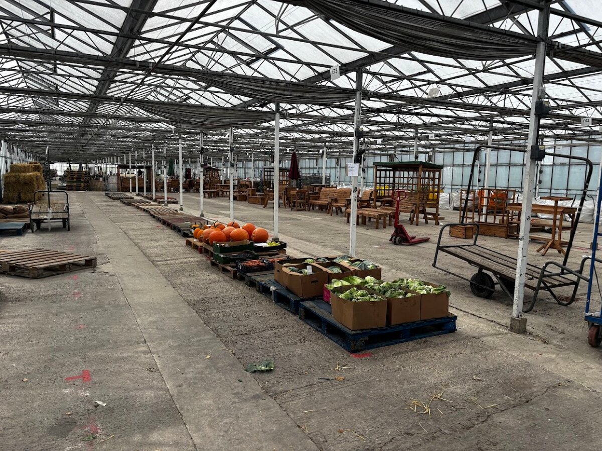 Pumpkins For Sale Ashley Waller