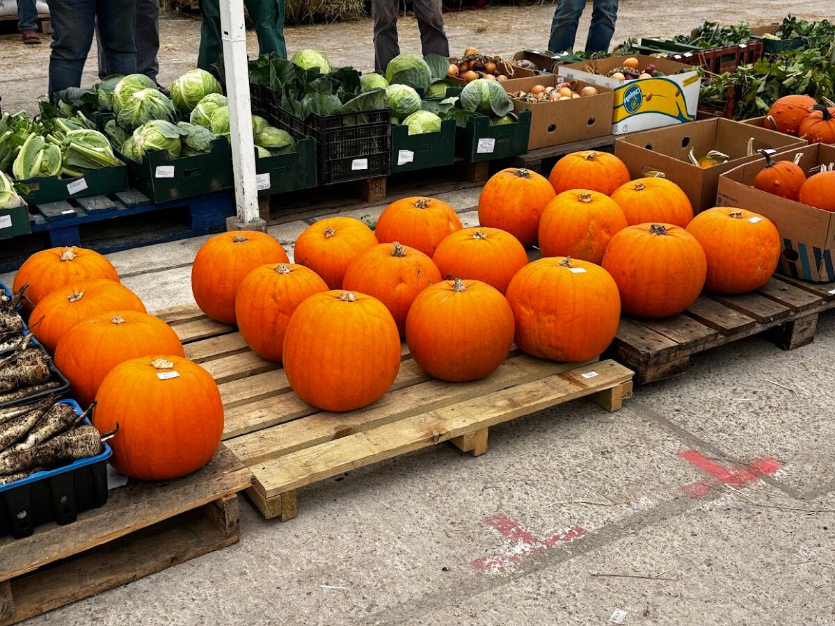 Pumpkins For Sale Ashley Waller 2